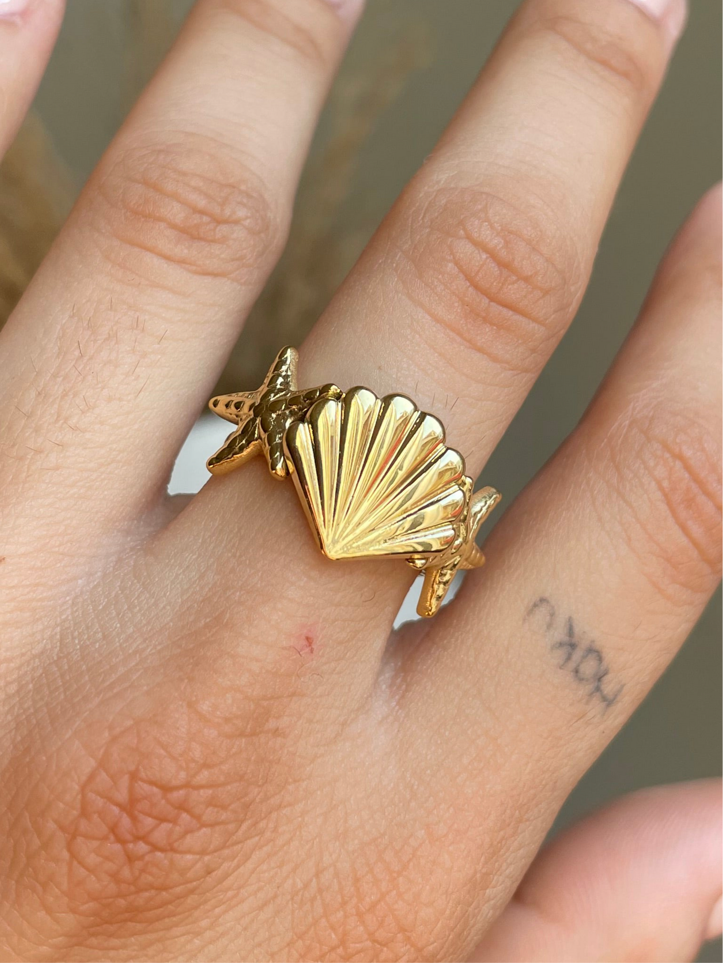 Shell’s Secret Ring