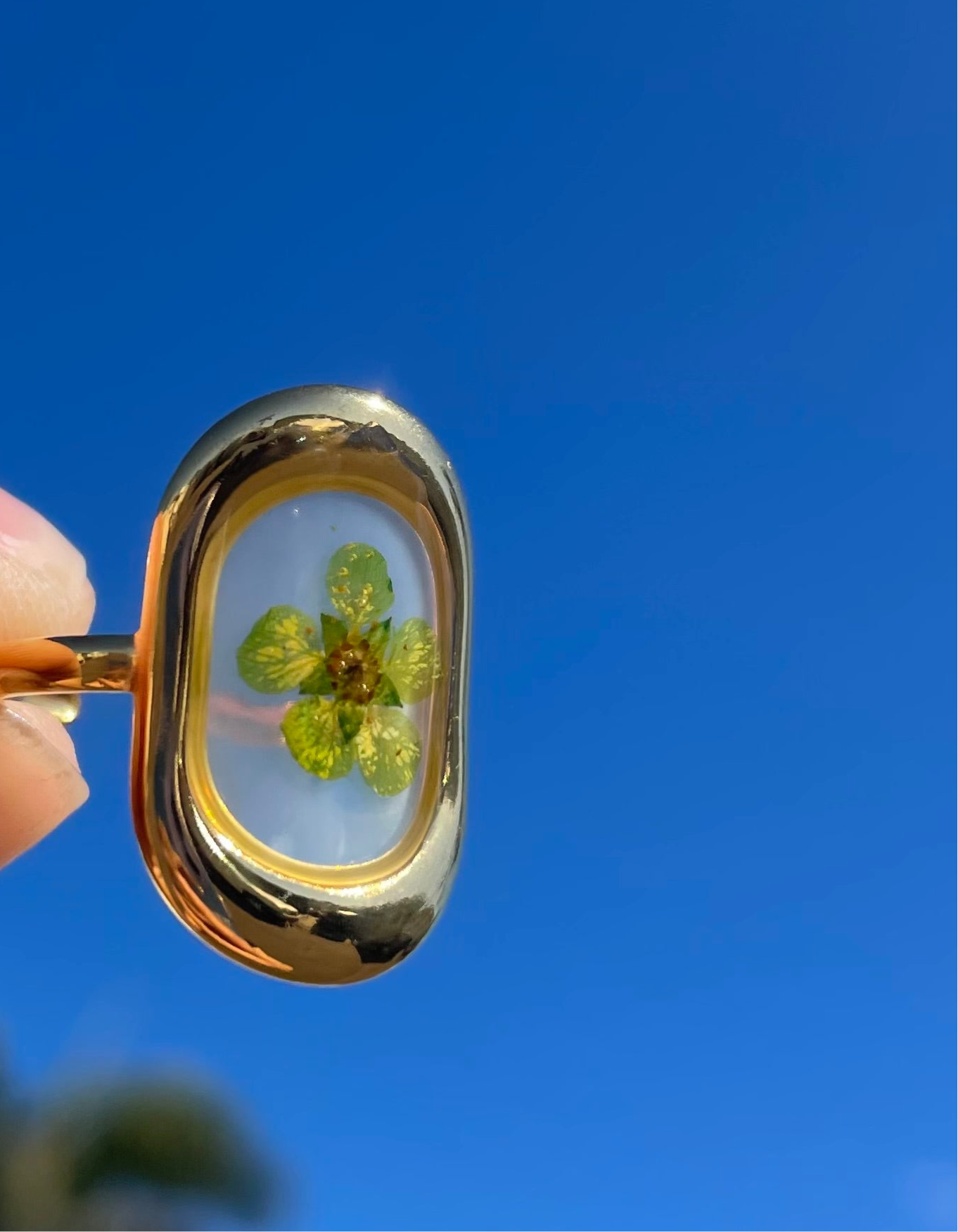 Green Pressed Flower Ring