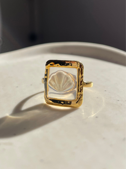 Pearl Sea Shell Transparent Ring
