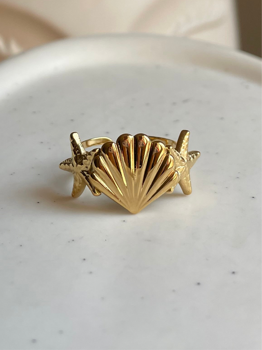 Shell’s Secret Ring