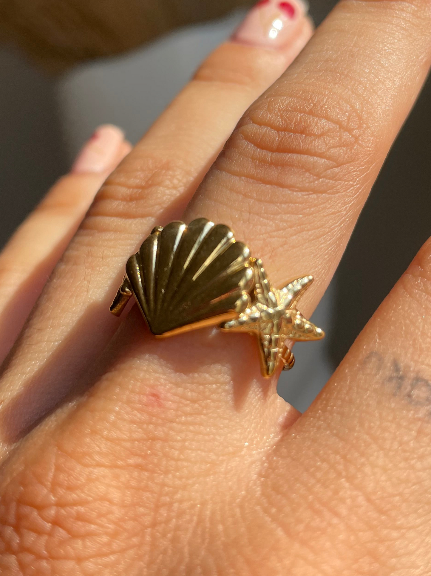 Shell’s Secret Ring